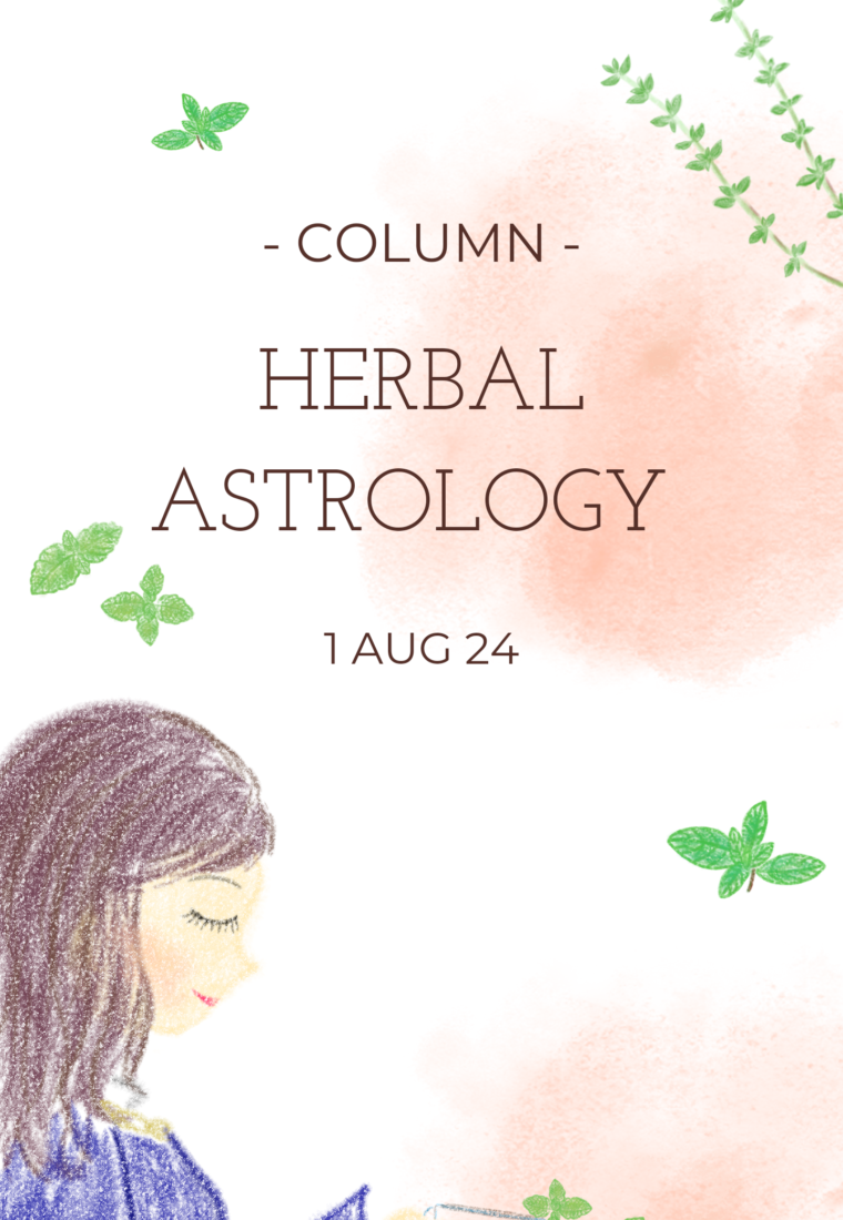 ハーブと星を使って自分らしく生きる！ここから始めてみて！