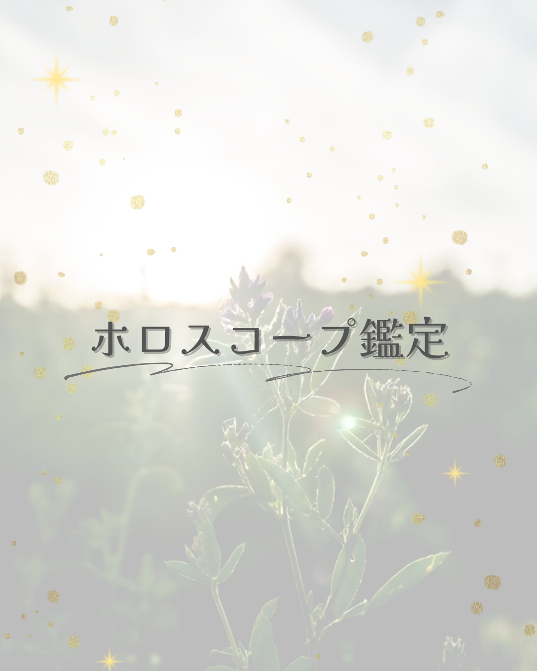 ホロスコープ鑑定